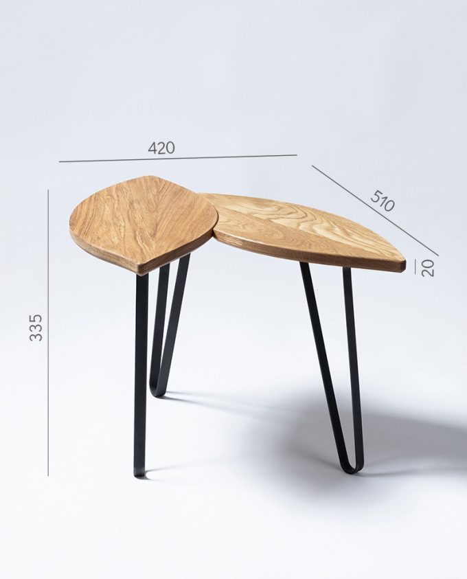 Ruwdesign-Plant Table-Hoya-Carnosa-Low-Dimensions